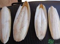 乌贼骨是什么?乌贼骨的功效与作用