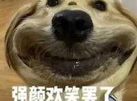 冤种是什么意思梗 冤种是哪里的方言
