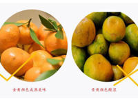 橘子什么颜色的好吃 橘子颜色变化过程