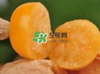 姑娘果是什么果？姑娘果怎么吃