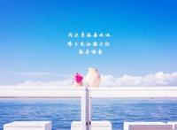 从很久以前就喜欢你了，可你依旧对我若即若离！