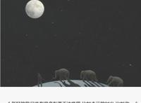 太想爱你是我压抑不了的念头！