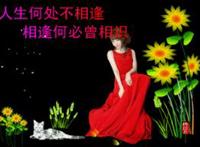 人生何处不相逢,相逢何必曾相识!