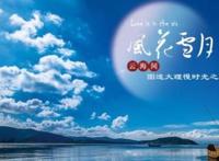 那些风花雪月的事,一身零乱花最香!