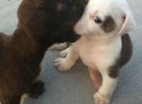 怎么舌吻，最缠绵舌吻技巧!