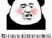 cpdd是什么意思,要处对象的快来找我!