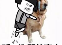 单身的好处有哪些？单身好处多