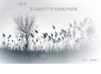 没有你的日子我真的好孤单，所有的快乐都与我无关！