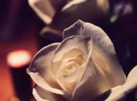 从不喜欢孤单一个，不过是受够了失望！