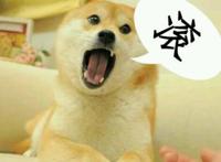 单身狗之歌，“单身汪”也是旺啊！