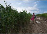 宝贝趴下我要从后面，校花被折磨阴部致死！