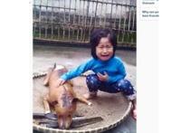 女童狗肉摊认出爱犬，伤心哭泣引网友怜