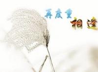 再度重相逢，让人无法释怀的感伤之情！