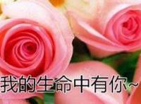 来过我生命的你，你是我生命中最美的相遇！