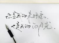 白月光与朱砂痣什么意思，都是指没有拥有的人！