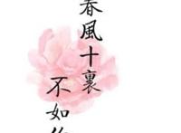 春风十里不如你，梦要一起追才漂亮！