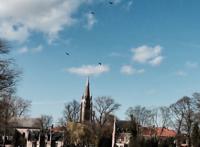 绝味鸭脖加盟官网！他也不能勉强他