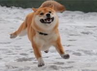 经典悲剧电影排名 十大最佳悲剧电影盘点