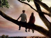 美国十大经典爱情电影 十部必看的经典爱情巨作