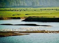 端午十大国内游玩地点 第一是端午习俗的传承之地