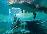 世界十大巨型鳄鱼 湾鳄体重超1600公斤，曾吞食上千日军