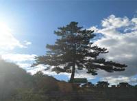 丹东景点排行榜前十：鸭绿江风景名胜区上榜，五龙山第一