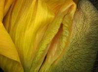 女人十大名器图解，不同的外阴形状让你欲罢不能