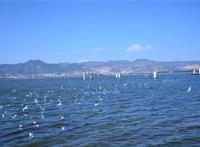 昆明十大风景名胜区排行榜：海埂大坝上榜，云南民族村第十