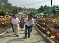 云浮十大公园广场排名：百合广场上榜，第四新开不久