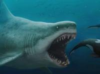 史前十大最强悍的海洋生物，邓氏鱼上榜，第五被认为是现代鲸的祖先