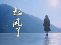 抖音十大背景音乐排行榜：起风了上榜，第六百听不厌