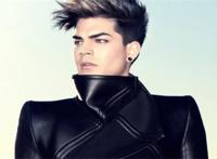 美国十大选秀男明星排行榜 亚当兰伯特发展最好，大卫库克上榜