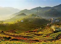 浙江十大最好玩的景点 杭州西湖很经典天目山风光秀丽