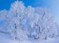 吉林十大风景名胜排行榜：红叶谷上榜，第十游乐项目众多