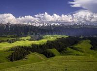 中国面积最大的十个城市 那曲地广人稀面积36.96万km²