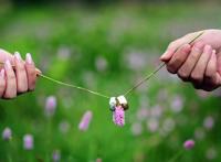 婚前检查大概多少钱？有哪些项目？