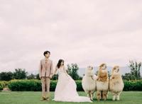 日系新娘妆容的特点是什么？要做什么准备？有什么要注意的？