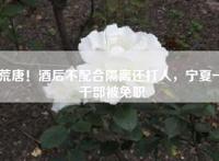 荒唐！酒后不配合隔离还打人，宁夏一干部被免职