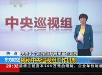 2021中央巡视组组长是什么级别职位,中央巡视组的职责是什么