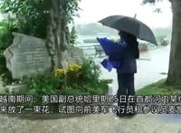 哈里斯越南献花闹乌龙 美国副总统哈里斯干了什么