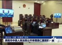 袁仁国当庭认罪,,袁仁国是谁？认了什么罪？