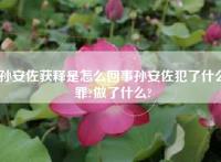 孙安佐获释是怎么回事孙安佐犯了什么罪?做了什么?