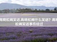 高晓松闹笑话,高晓松闹什么笑话？高晓松闹笑话事件经过