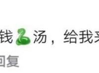 蜜雪冰城是什么梗,蜜雪冰城梗的来源及含义介绍