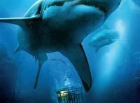 远古十大海洋凶猛巨兽排名 灭绝的恐怖海洋生物有哪些