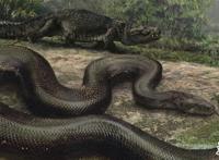 地球上的远古十大怪兽，泰坦蟒巨大(十大已灭绝巨型怪兽)