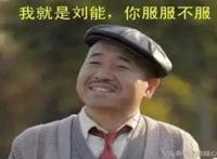 刘能的30句狠话 句句经典！(刘能的狠话大全)