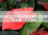 岳云鹏为女儿庆生正面照曝光 岳云鹏女儿岳麓一个人资料