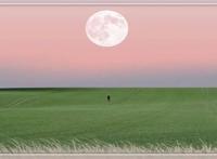 深圳奥密克戎病例曾分拆北美快递 或因未做防护被感染