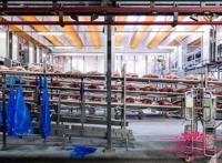 现代化屠宰场是怎么杀牛的，人道屠宰流程及标准化